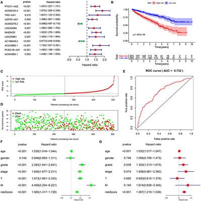 Long Non-Coding RNA Profile Study Identifies an Immune-Related lncRNA Prognostic Signature for Kidney Renal Clear Cell Carcinoma